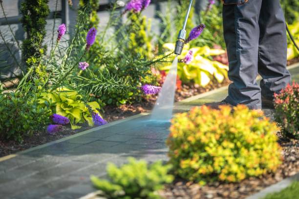 Best Winterizing Services  in Texanna, OK
